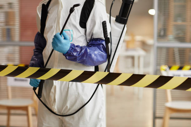 Professional Sewage Cleanup technician working in Gill, CO